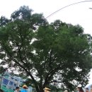 내서읍523 이미지