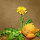 강아지똥 Daum카페