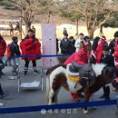 세계승마클럽 이미지