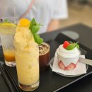 🌷5월 주말 일상🌷 청주 데이지 명소, 고등어회 후기, 아이폰 16프로📲 기변 등