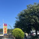 포구나무 민박 이미지