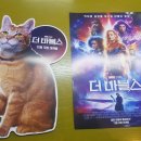 (주)마블스 이미지