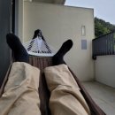양숙이네 | 강원도 양양 브리드호텔 양양 여행 숙박하기 좋은 곳. 양양브리드호텔 라이즈업 스몰 숙박 후기