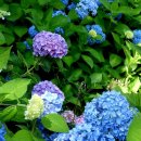 영광 매간당 고택 이미지