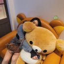 차(교토 당일치기, 한큐패스, 아라시야마, 치쿠린, 리락쿠마카페, 스시맛집, 규카츠맛집, 자라, 이중결제)