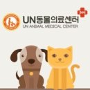 동행동물의료센터