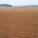 협성대학교 이미지