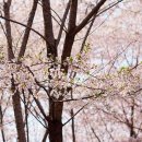 검배공원 이미지