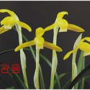 천향원 이미지