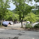 해바라기 | 5월 파주 배나무꽃캠핑장 해바라기 사이트 후기 – 아이와 함께한 감성 캠핑