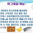 이황MSM 네이버블로그