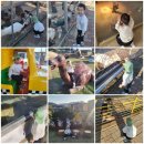 쌍둥농장 이미지