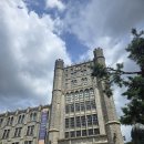 경희대학교 중앙박물관 | 2025 학위수여식 경희대학교 중앙박물관 특별프로그램 다녀온 후기 : 민화 컵받침 만들기 체험