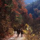 광덕계곡관광지 이미지