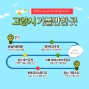 대양로 | 고양시 당일치기 여행코스 서울 근교 하루 일정 추천