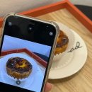 몽그르르 이미지