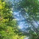 Learning How to Spend Time Well 이미지