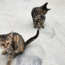 나리가펜션 이미지