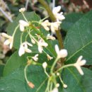 계화농장 이미지