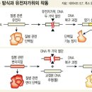 가위연구소 이미지