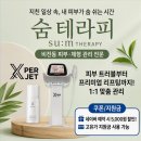 숨 테라피 | 숨 테라피 솔직 후기: 평택플라즈마 관리 받고 두피 고민 싹 사라짐