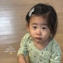 유림분식쎈타 네이버블로그