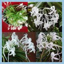 새로남커피숍 이미지