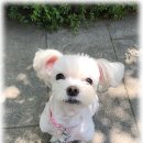 백년동물병원 이미지