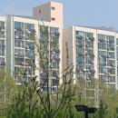 넥스트태양광발전소 이미지