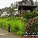 밀레니엄빌 이미지