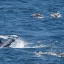 울산광역시남구도시관리공단(장생포고래생태체험관) 이미지