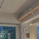 데이무드 이미지