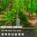 경주 여행 경북천년숲정원 경주 가볼만한곳