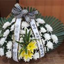 의료법인 세명의료재단 세명요양병원 이미지