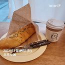 파이브로브스