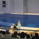 오션 아레나 이미지