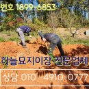 남원장의사