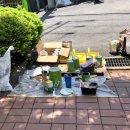 돌모루(어린이공원) 이미지