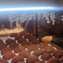 음선옆들 | 260117- 0118 아이소 부스 뛰고 온 일기