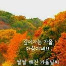 기적의힐링숲 이미지