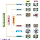 무궁화 포트삽목의 다양한 활용가치 이미지