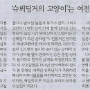 벌거벗은 고양이 이미지