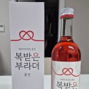 복받은부라더 홍연, 이 감성 뭐야? 멜로맛술 한 모금에 빠져들다