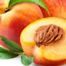 복숭아한의원 이미지