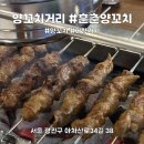 건대양꼬치거리 | [건대] 양꼬치거리 맛집 추천 | 훈춘양꼬치 메뉴,내부,후기