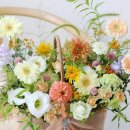 (주)닥터로빈 이미지