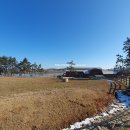 상하부자농장 | 국내 겨울 여행 아이와 함께 갈만한 곳 고창 상하농원 동물농장 체험교실
