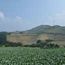 대기리마을 이미지