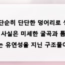 아나플란트치과의원 네이버블로그