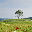 금광호수 이미지